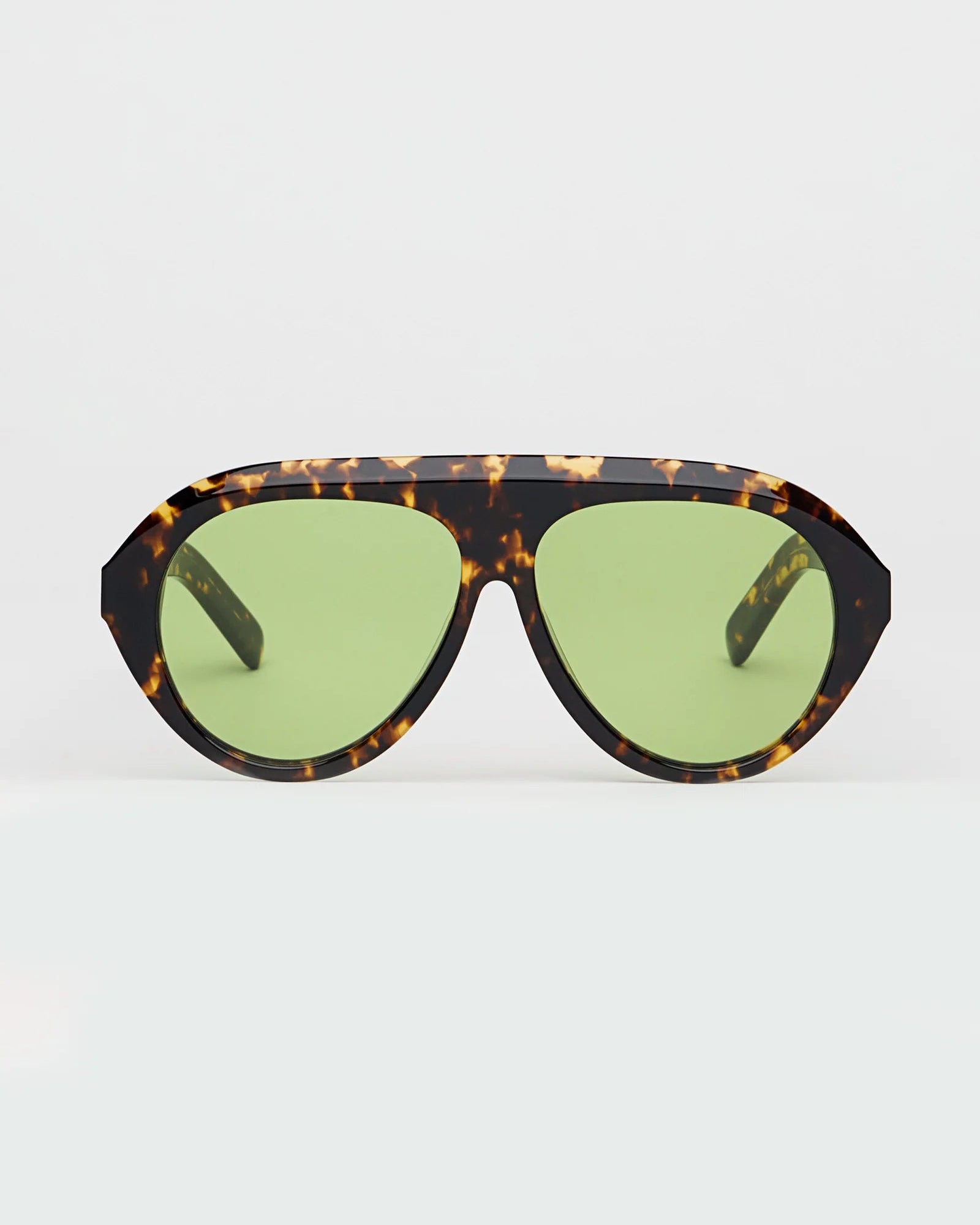 The Icon Tortoise