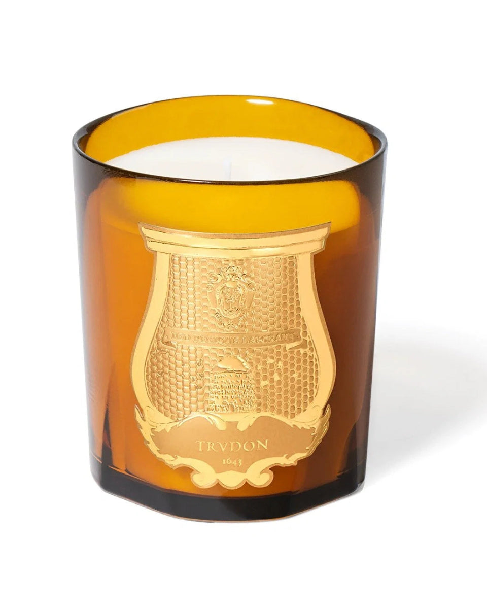 Scented Candle Altaïr 2.8 kg