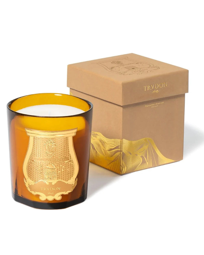 Scented Candle Altaïr 2.8 kg