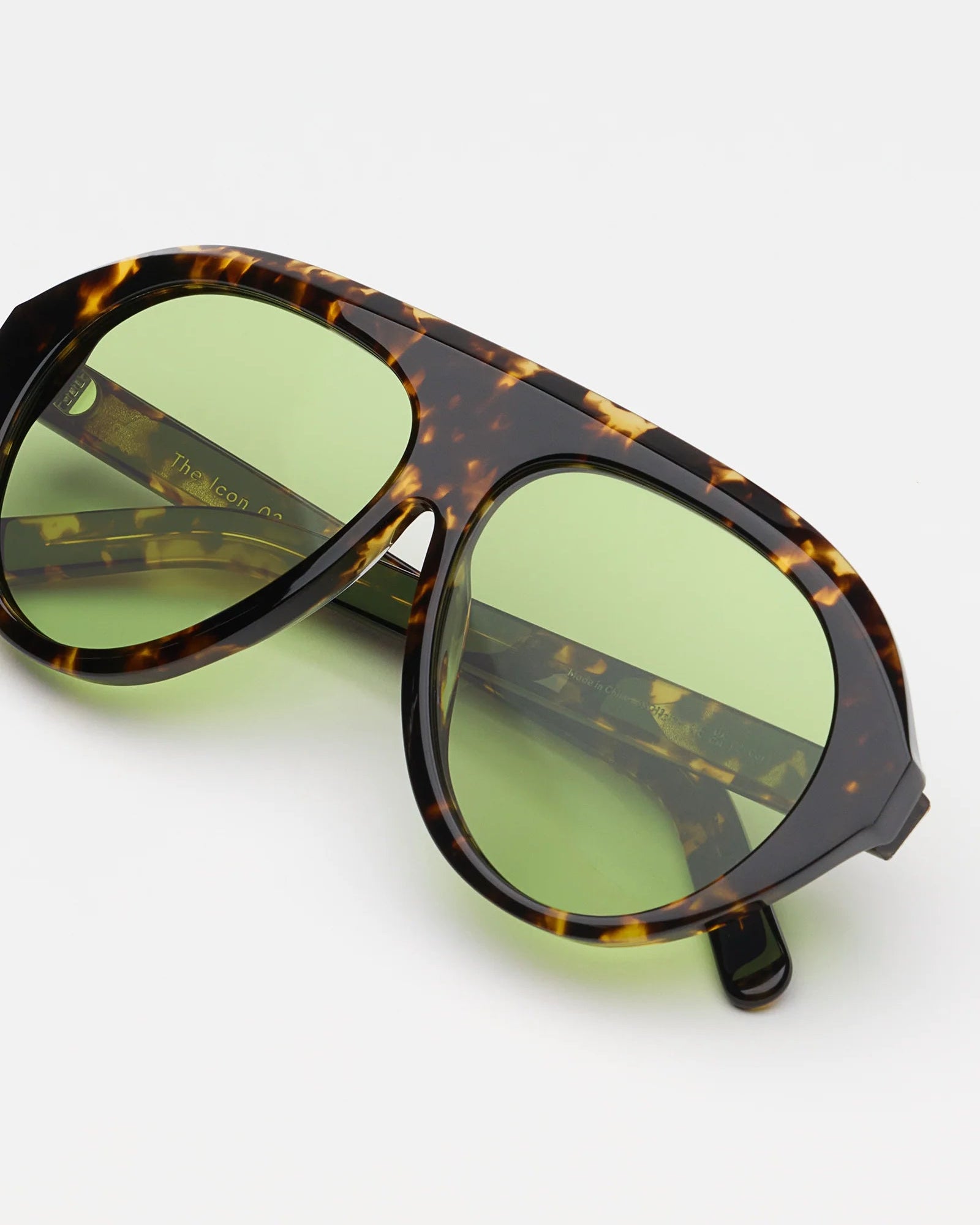 The Icon Tortoise