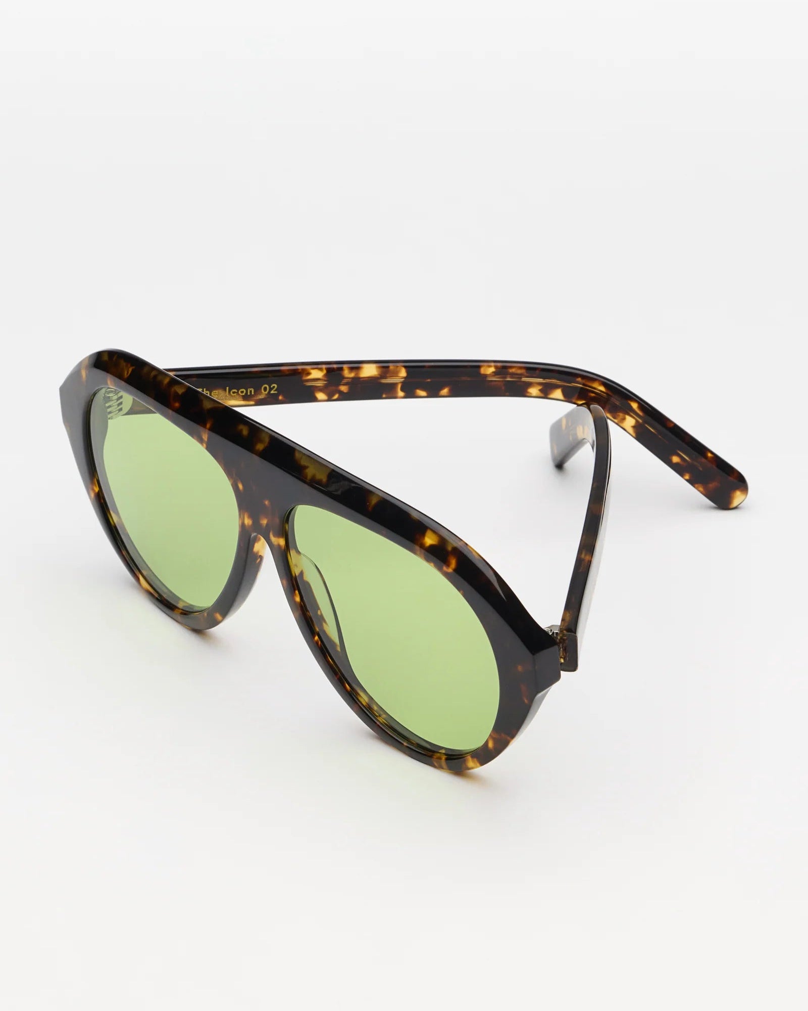 The Icon Tortoise
