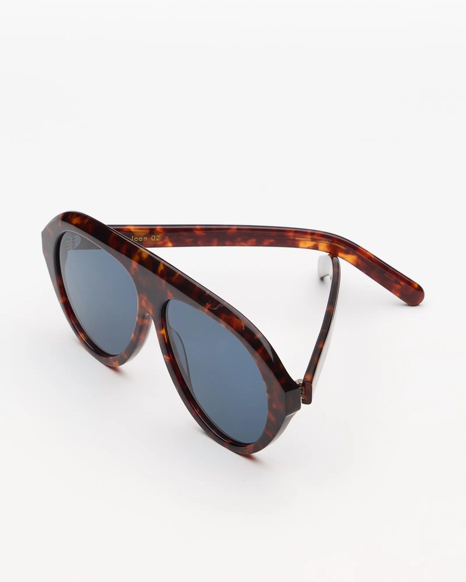 The Icon Tortoise