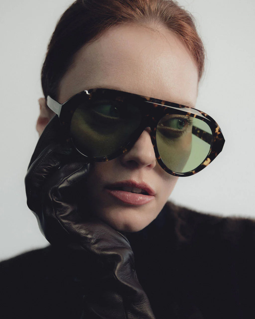 The Icon Tortoise